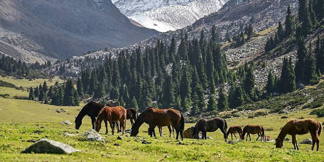Vize istemiyor, doğasıyla hayran bırakıyor: Turizmin yeni gözdesi ne Karadağ ne Makedonya! 2